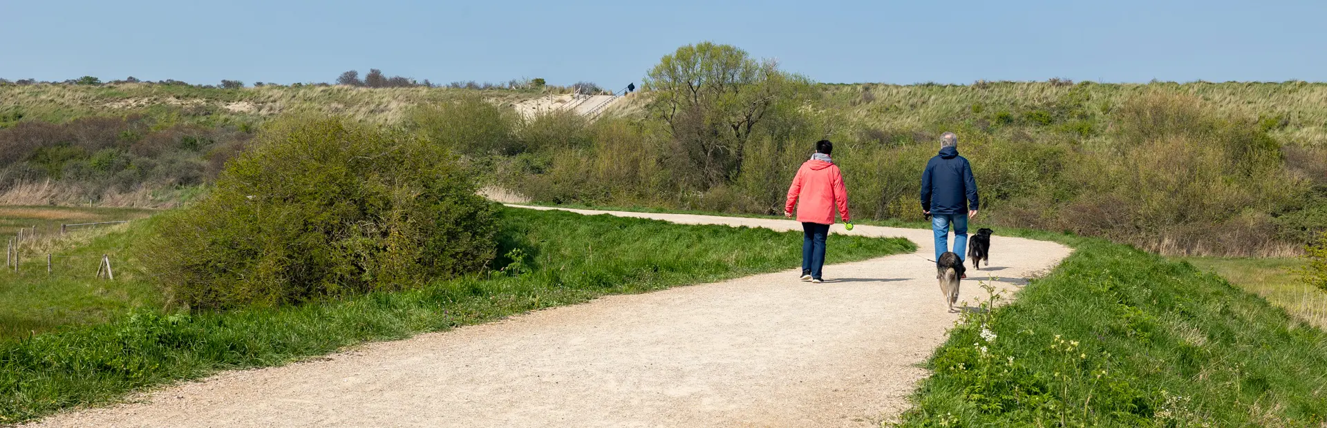 81 Vakantiepark Zeeuwse Kust